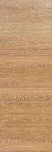 Дверь Tivoli В-2 Invisible Дуб капучино без стекла